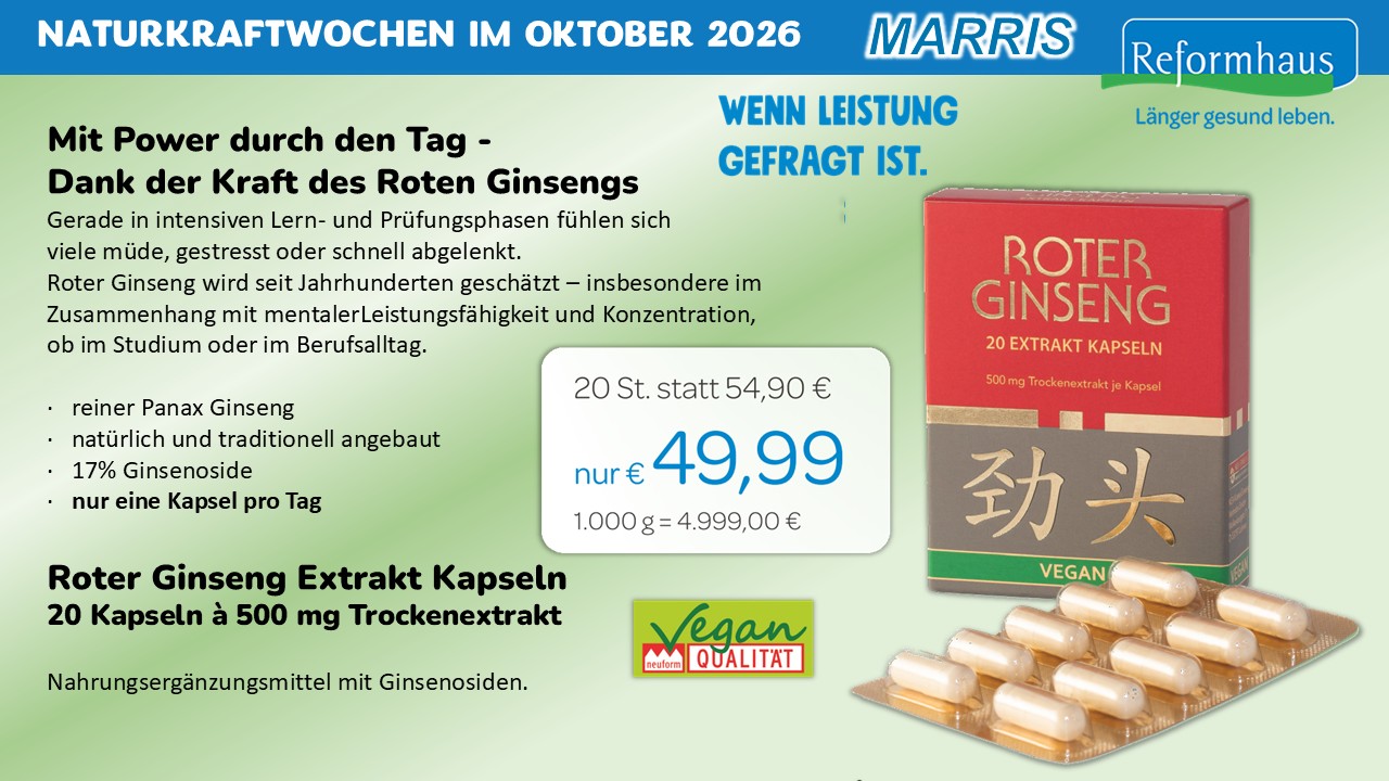 Aktuelles Angebot 13