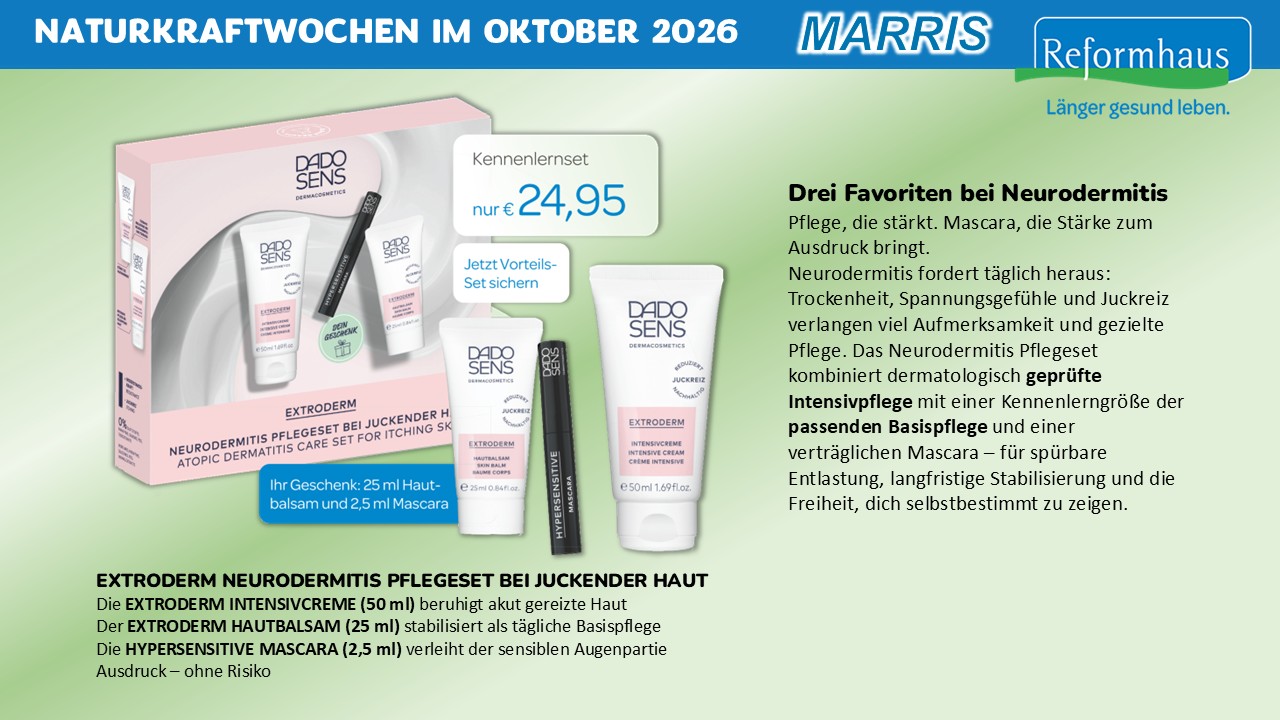 Aktuelles Angebot 17