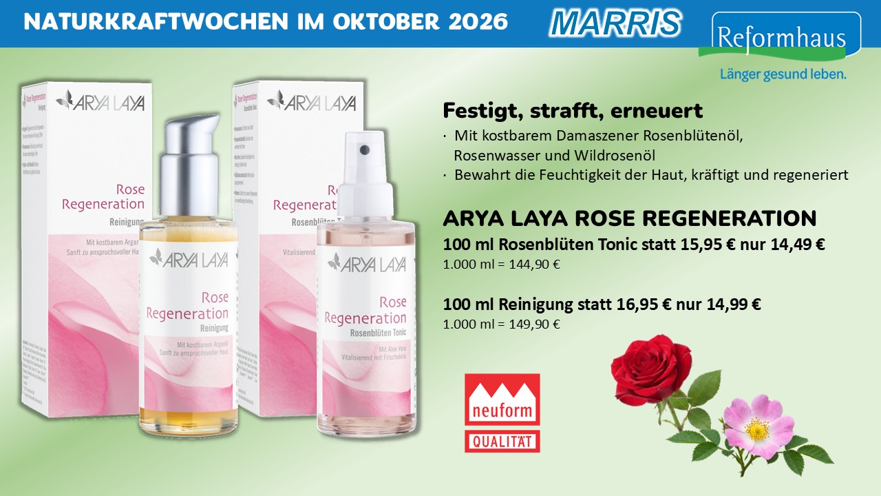Aktuelles Angebot 22