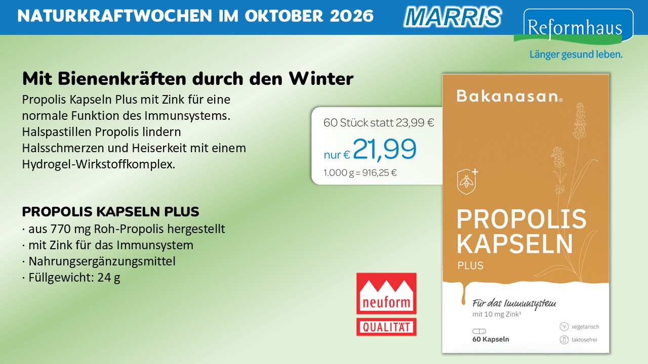 Aktuelles Angebot 7